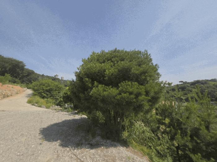 경상남도 김해시 삼계동 1428-2 분성마을부영아파트 218동 16층1605호 아파트 경매 사진 17