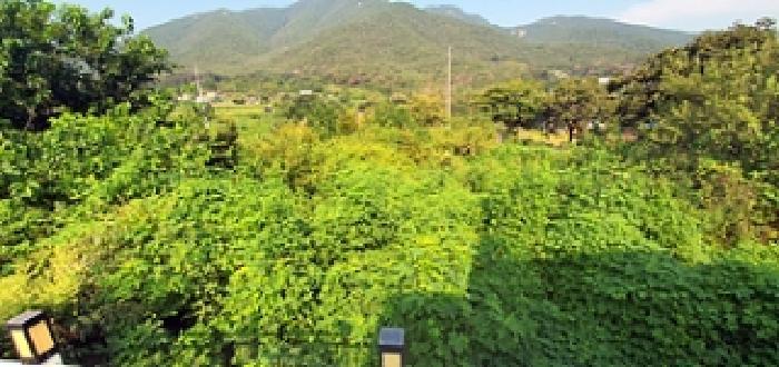 경상남도 김해시 상동면 여차리 809-2 전 경매 사진 8