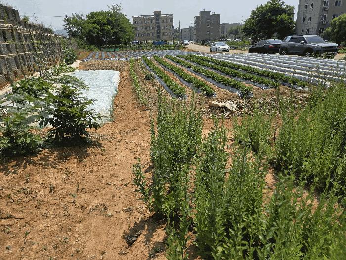 충청남도 당진시 답