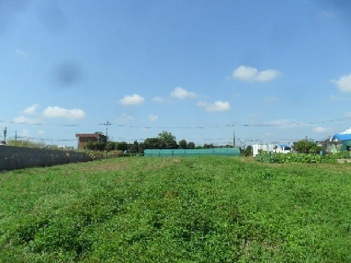 충청남도 서산시 예천동 334 전 경매 사진 5