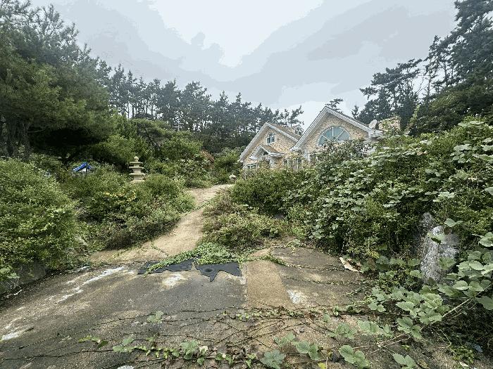 충청남도 태안군 소원면 파도리 23 주택 경매 사진 10
