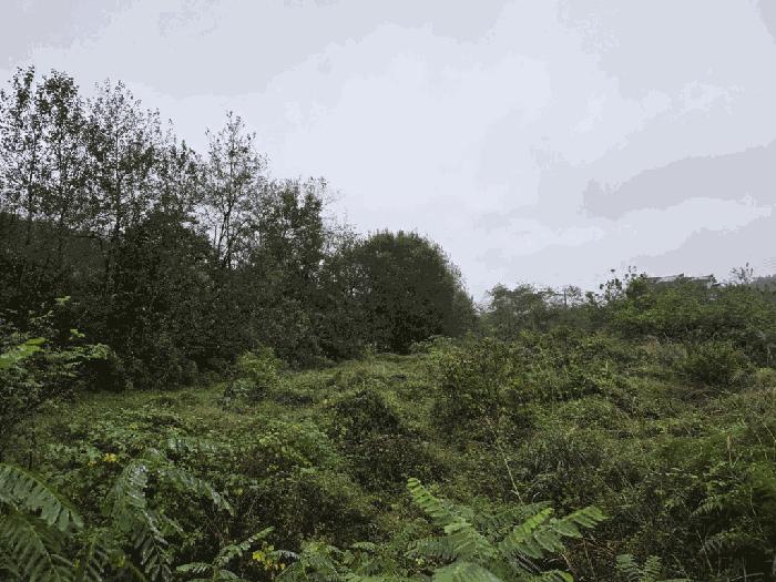 충청남도 당진시 석문면 장고항리 755-3 전 경매 사진 1