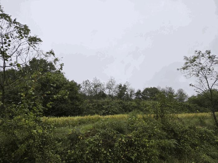충청남도 당진시 석문면 장고항리 755-3 전 경매 사진 2