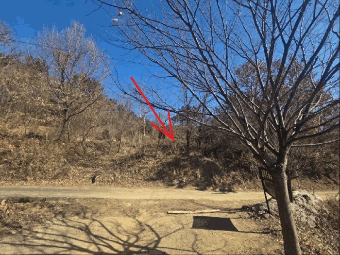 대구광역시 달성군 현풍읍 대리 1019 전 경매 사진 2