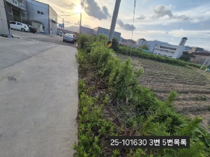 부산광역시 강서구 대저1동 446-7 공장 경매 사진 11