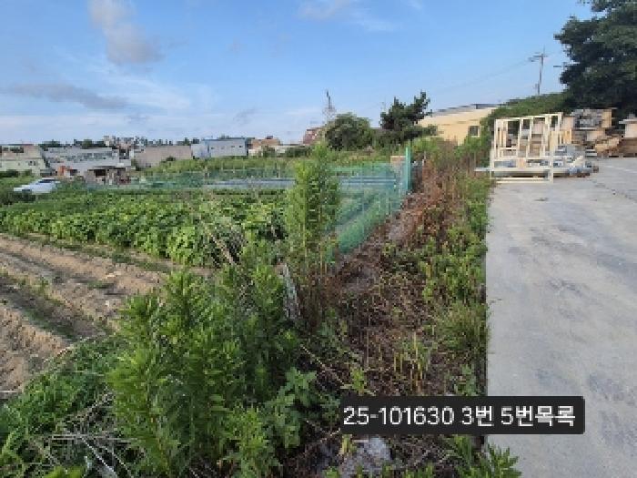 부산광역시 강서구 대저1동 446-7 공장 경매 사진 12