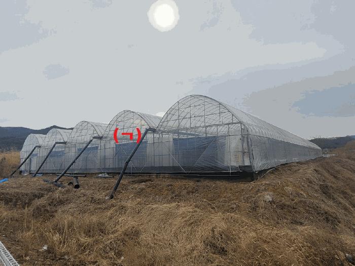 경상북도 성주군 대가면 옥성리 112 전 경매 사진 7