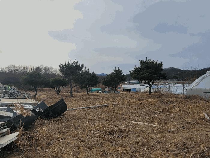 경상북도 성주군 대가면 옥성리 112 전 경매 사진 8
