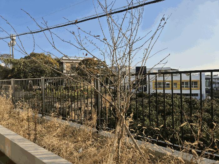 제주특별자치도 서귀포시 중문동 1737-7 근린시설 경매 사진 5