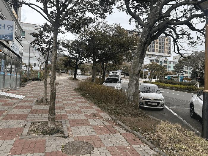 제주특별자치도 서귀포시 강정동 157-2 삼다오피스텔 6층602호 오피스텔 경매 사진 1