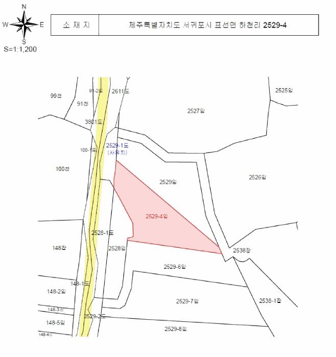 제주특별자치도 서귀포시 표선면 하천리 2529-4 임야 경매 사진 12