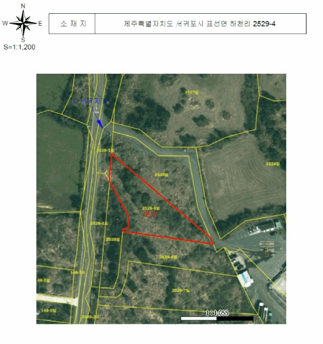 제주특별자치도 서귀포시 표선면 하천리 2529-4 임야 경매 사진 13