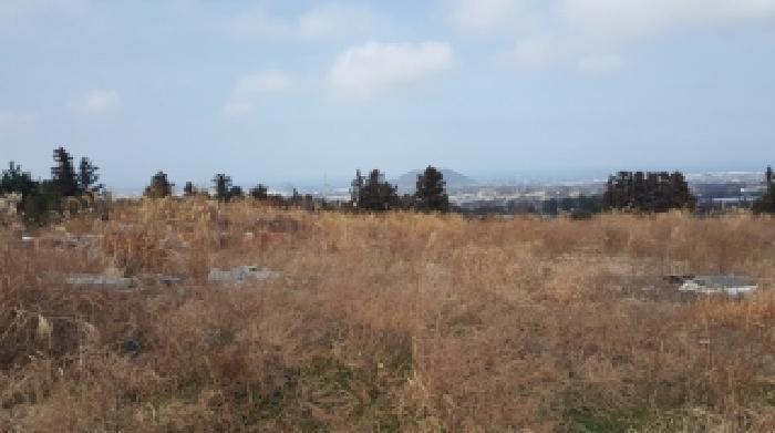 제주특별자치도 제주시 회천동 1740-1 전 경매 사진 16