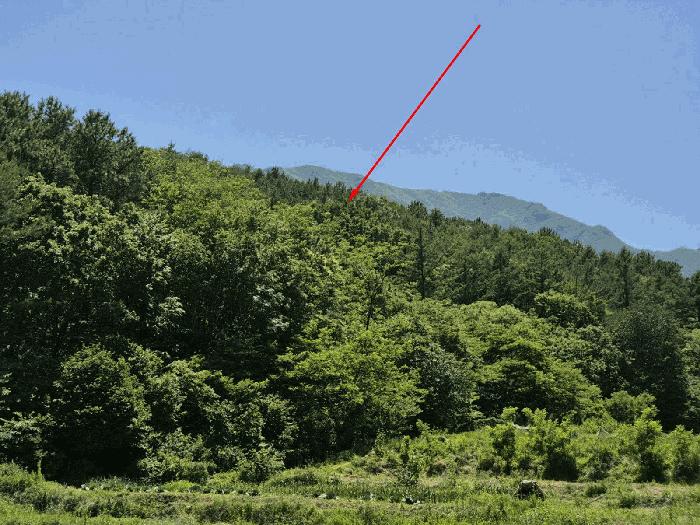 울산 울주군 임야