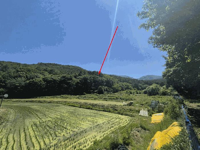 울산광역시 울주군 상북면 천전리 산25-18 임야 경매 사진 2