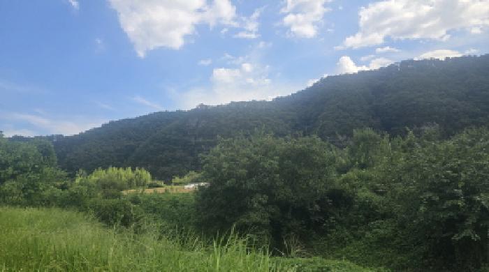 울산광역시 울주군 언양읍 반송리 498-1 답 경매 사진 4