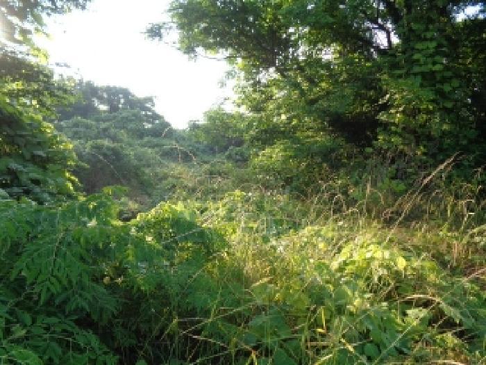 제주특별자치도 제주시 한림읍 협재리 2001 전 경매 사진 8