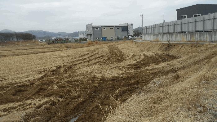 대구광역시 달성군 논공읍 금포리 1044 답 경매 사진 3