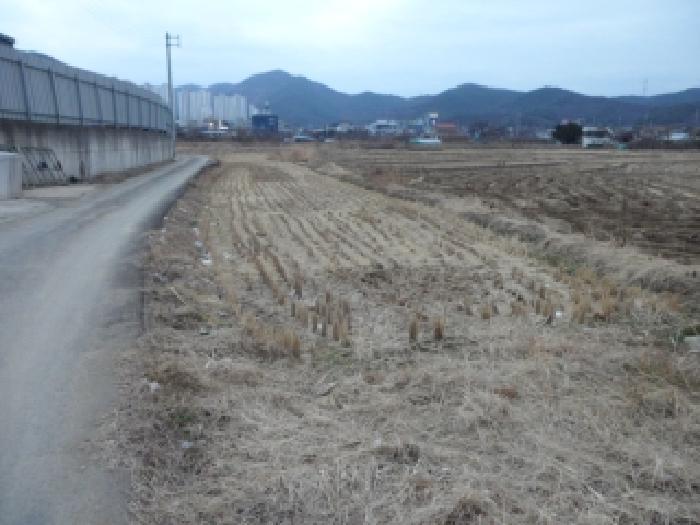 대구광역시 달성군 논공읍 금포리 1044 답 경매 사진 5
