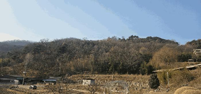 경상북도 성주군 용암면 동락리 168-2 근린시설 경매 사진 3