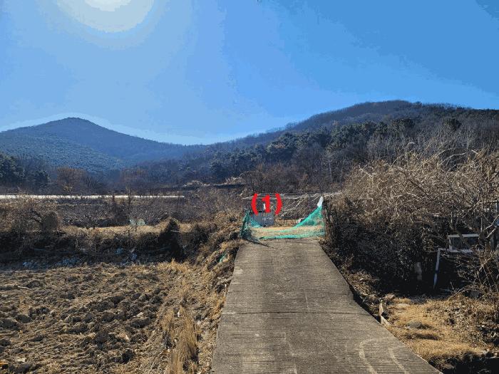 대구광역시 달성군 화원읍 명곡리 703 답 경매 사진 1
