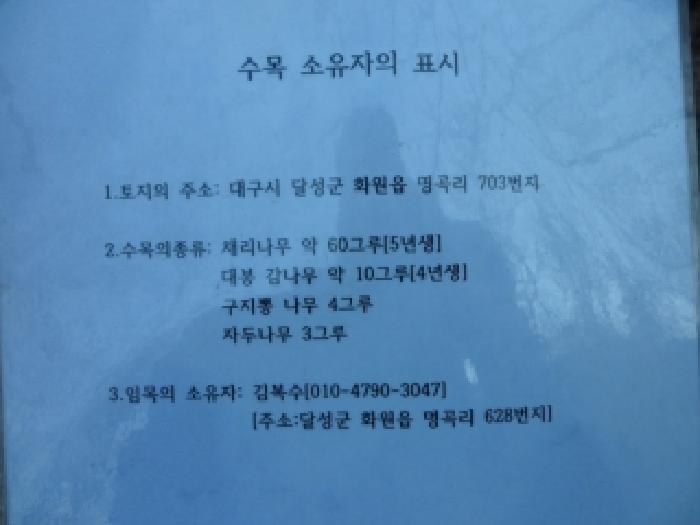 대구광역시 달성군 화원읍 명곡리 703 답 경매 사진 10