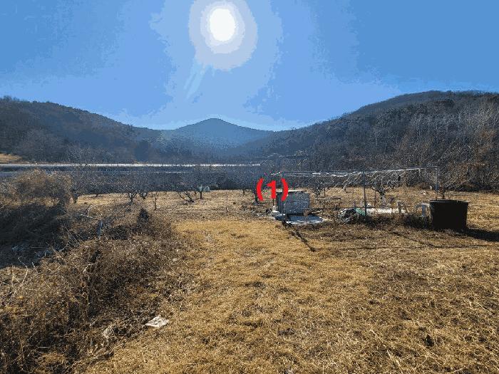 대구광역시 달성군 화원읍 명곡리 703 답 경매 사진 11