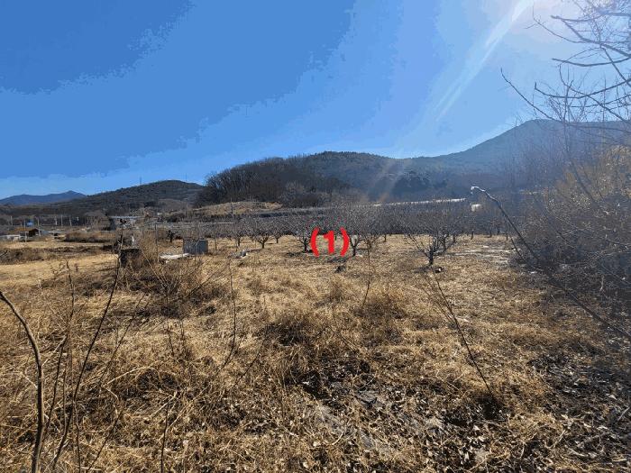 대구광역시 달성군 화원읍 명곡리 703 답 경매 사진 2