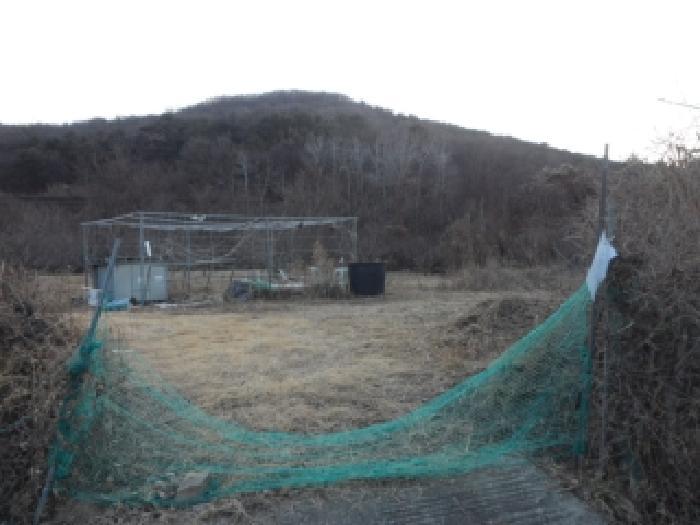 대구광역시 달성군 화원읍 명곡리 703 답 경매 사진 7