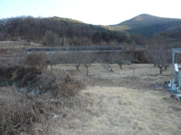 대구광역시 달성군 화원읍 명곡리 703 답 경매 사진 8