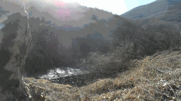 경상북도 고령군 답