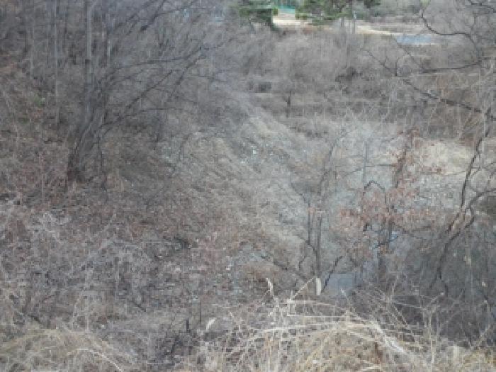 경상북도 고령군 성산면 상용리 542 답 경매 사진 4
