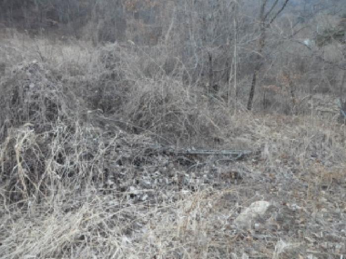 경상북도 고령군 성산면 상용리 542 답 경매 사진 7