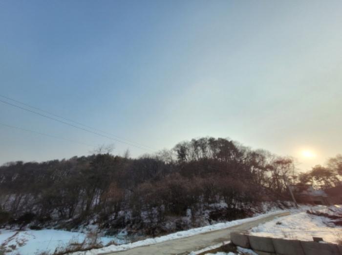 경기도 양평군 용문면 중원리 산137-2 임야 경매 사진 6