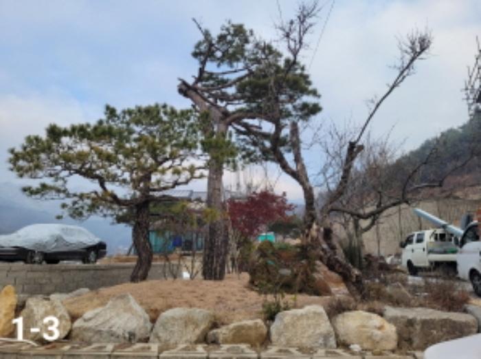 경기도 양평군 용문면 연수리 371-4 주택 경매 사진 12