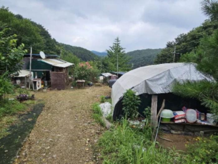 경기도 양평군 용문면 오촌리 175-2 전 경매 사진 13