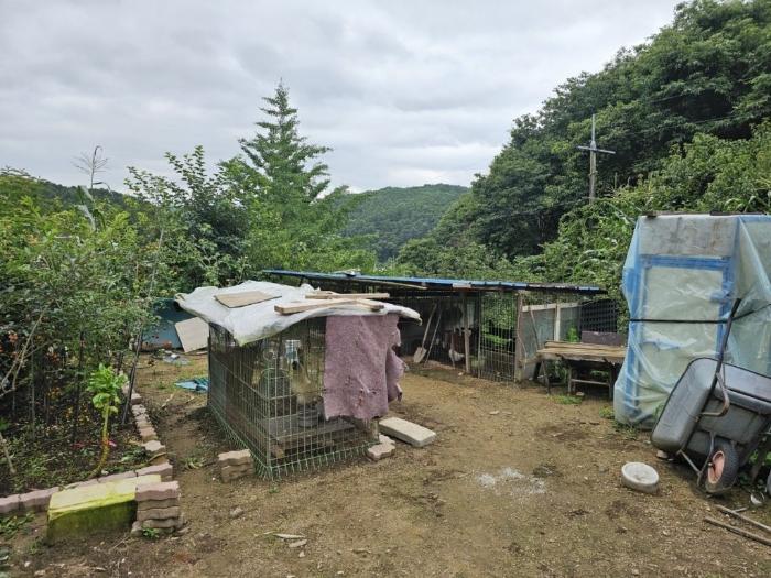 경기도 양평군 용문면 오촌리 175-2 전 경매 사진 9