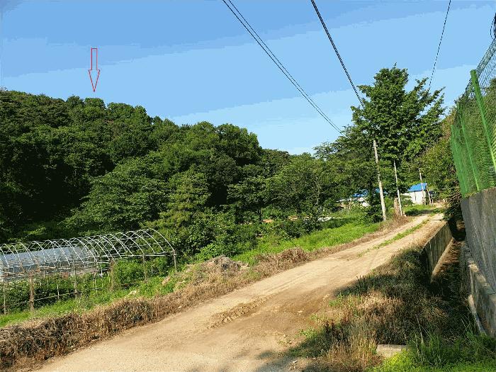 경기 화성시 임야