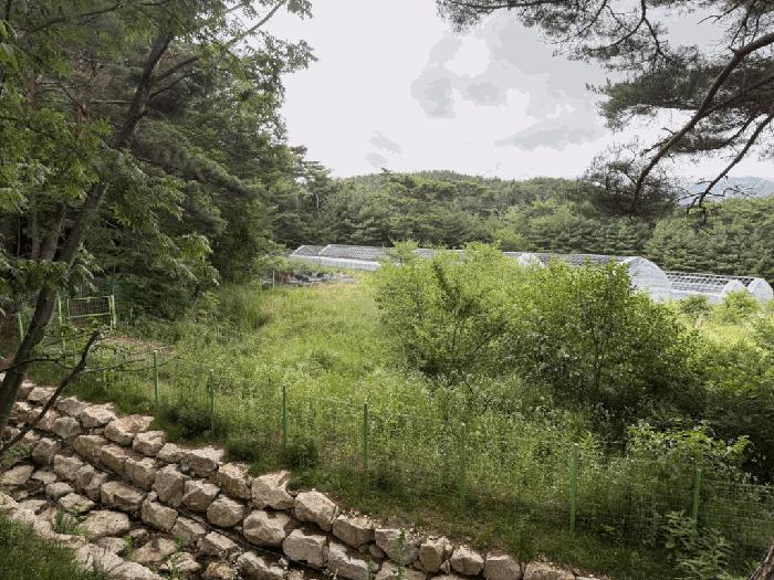 부산 금정구 답