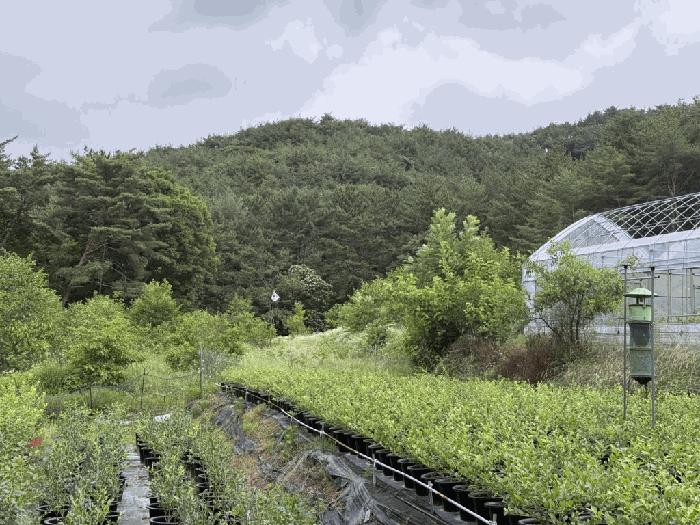부산광역시 금정구 선동 65 답 경매 사진 4