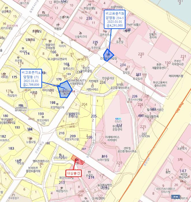 부산광역시 부산진구 양정동 207-2 상가 경매 사진 12