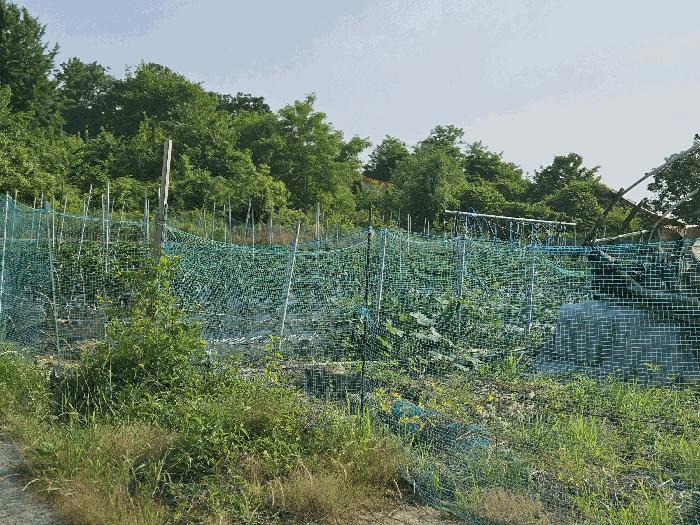 경기도 포천시 군내면 하성북리 560-13 주택 경매 사진 9