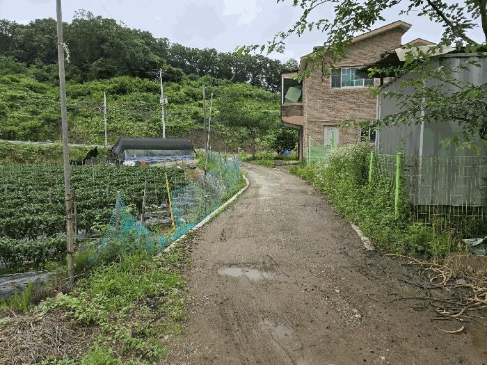 경기도 연천군 왕징면 동중리 448 대지 경매 사진 18