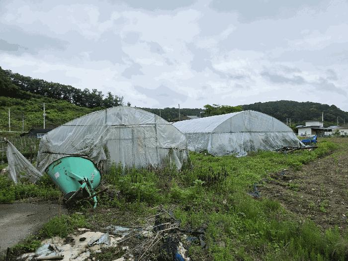 경기도 연천군 왕징면 동중리 448 대지 경매 사진 2