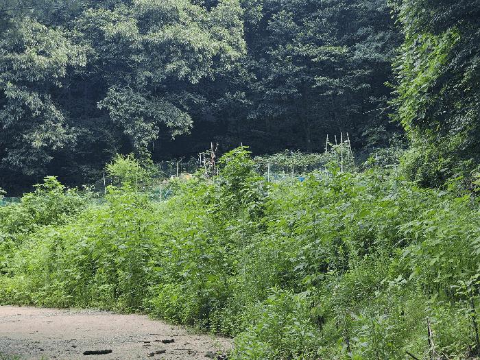 경기 의정부시 전