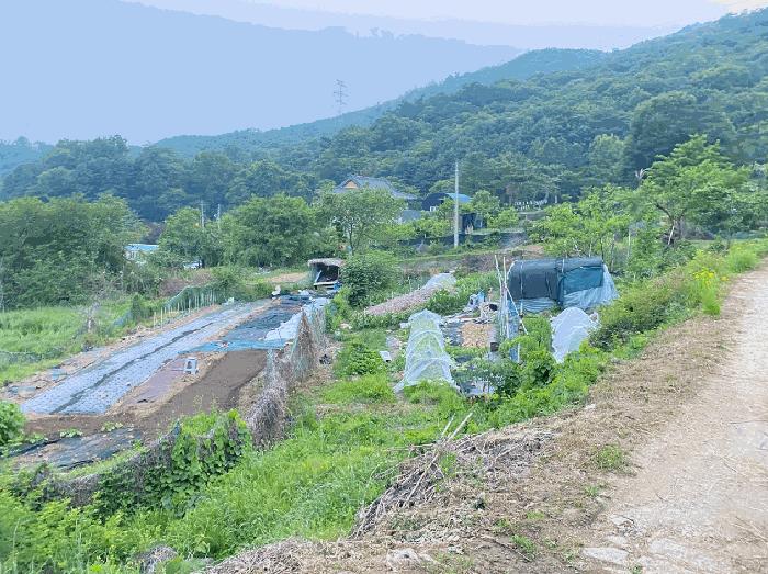 경기 남양주시 전