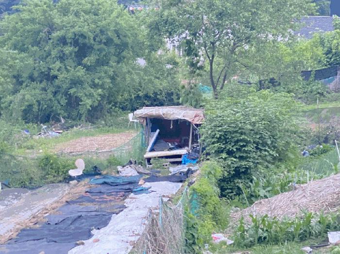경기도 남양주시 별내면 용암리 590-1 전 경매 사진 2