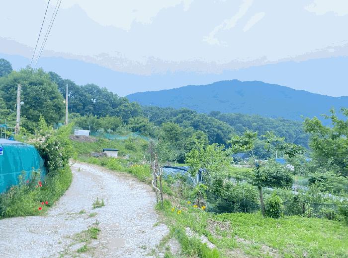경기도 남양주시 별내면 용암리 590-1 전 경매 사진 5