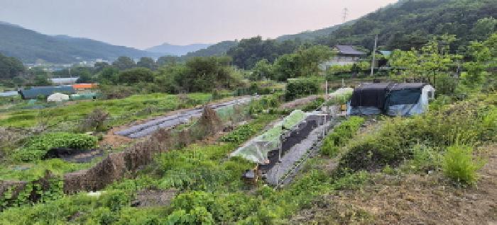 경기도 남양주시 별내면 용암리 590-1 전 경매 사진 7