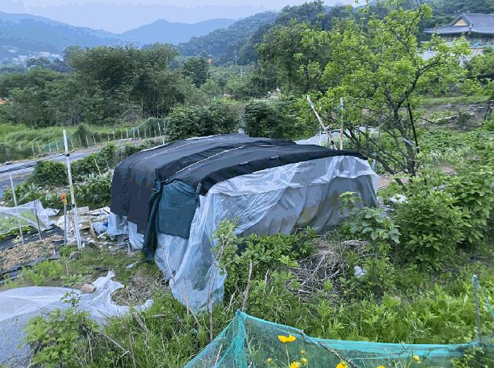경기도 남양주시 별내면 용암리 590-3 전 경매 사진 4